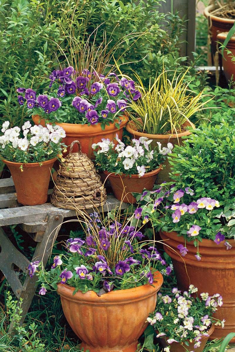 Secrets for Great Fall Pots