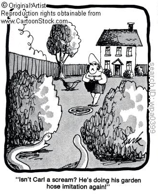 Garden humor