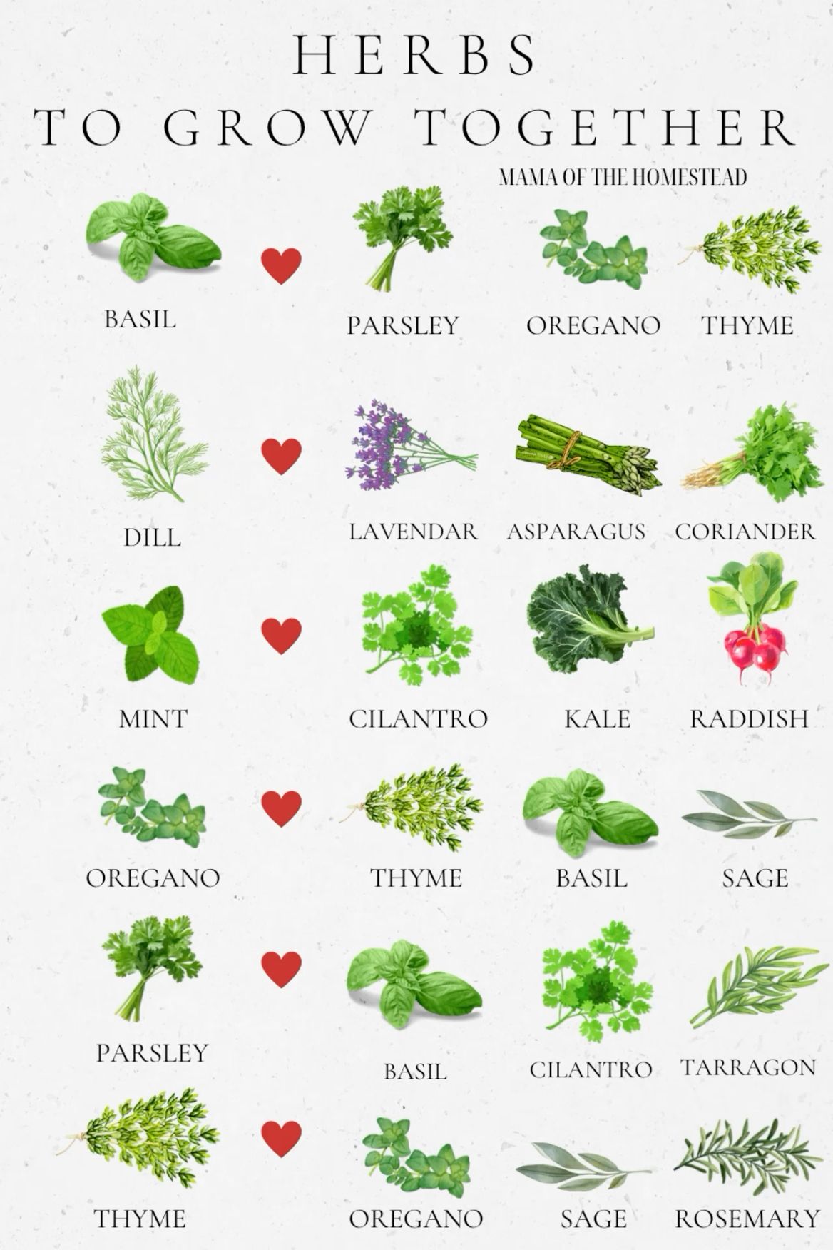 Herbs That Grow Well Together