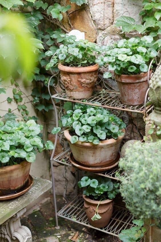 Vintage stand with clay pots🌿