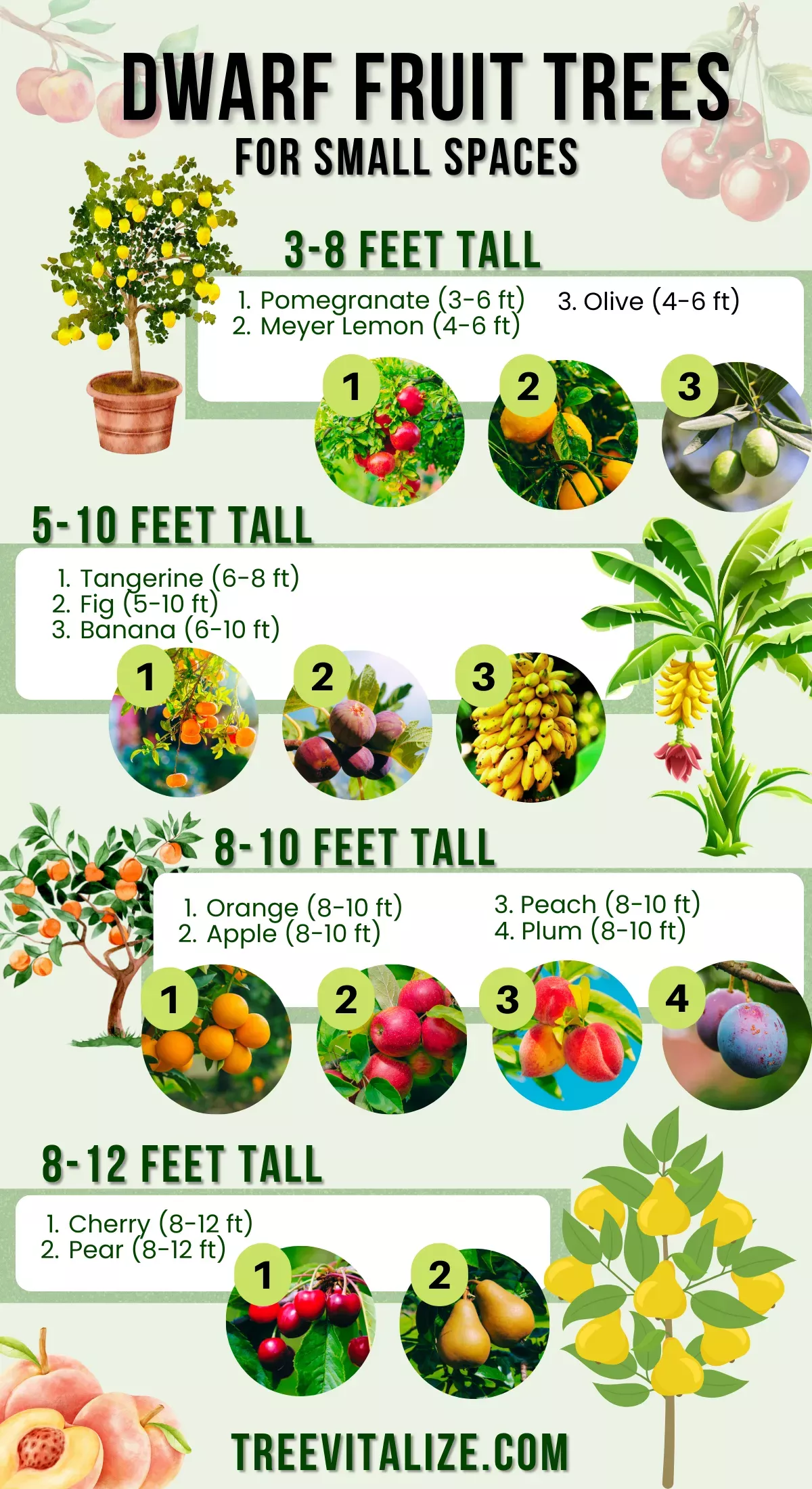 12 High Yield Dwarf Fruit Trees For Small Areas