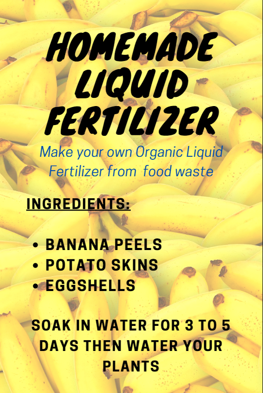 Homemade Liquid Fertilizer