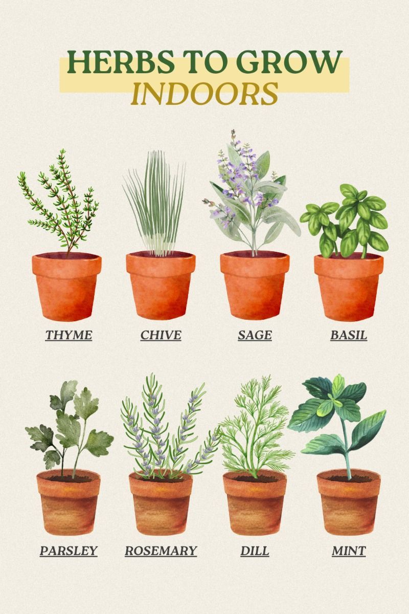 Herbs To Grow Indoors | Indoor Herb Garden Inspiration