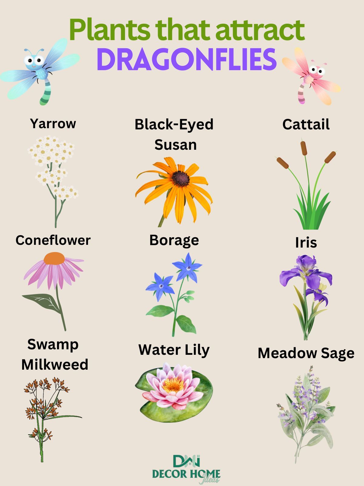 15 Best Plants That Attract Dragonflies And Are Also Perfect For Mosquito Control
