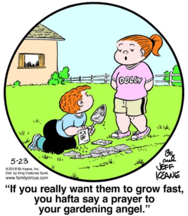 Family Circus
