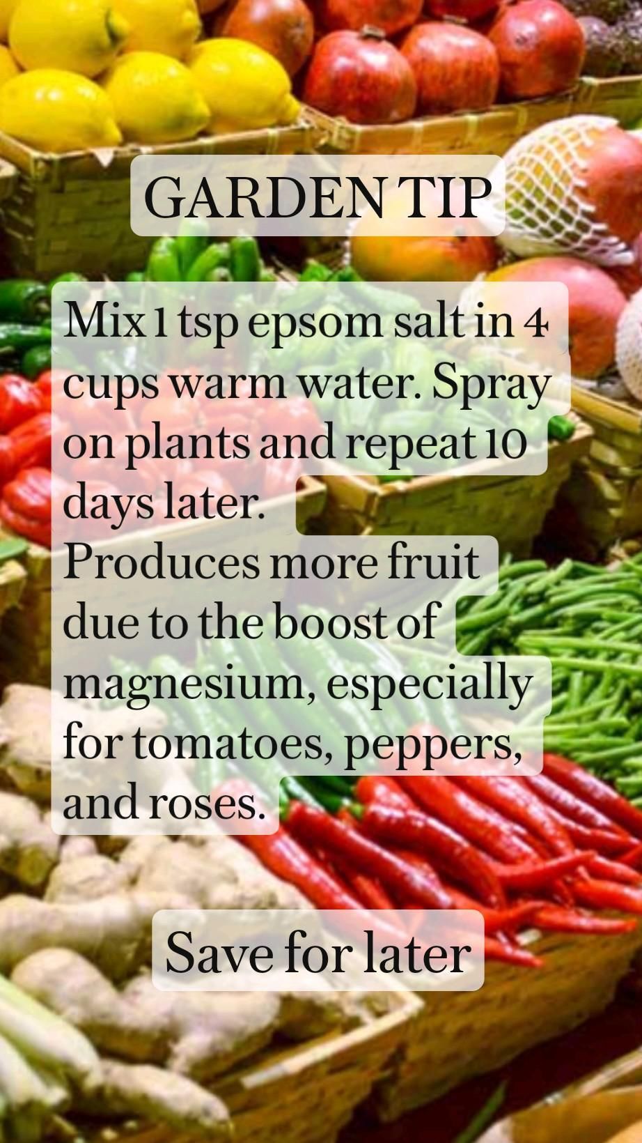 Mix 1 tsp epsom salt in 4 cups warm water. Spray on garden vegetable plants