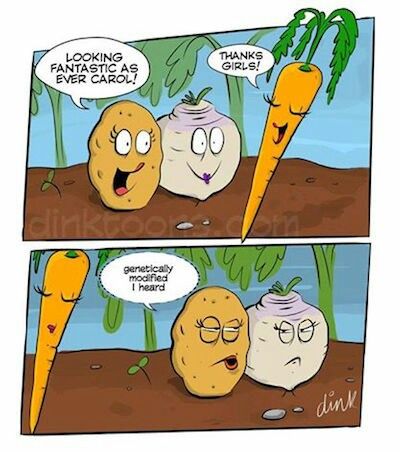 Dissing veggie women
