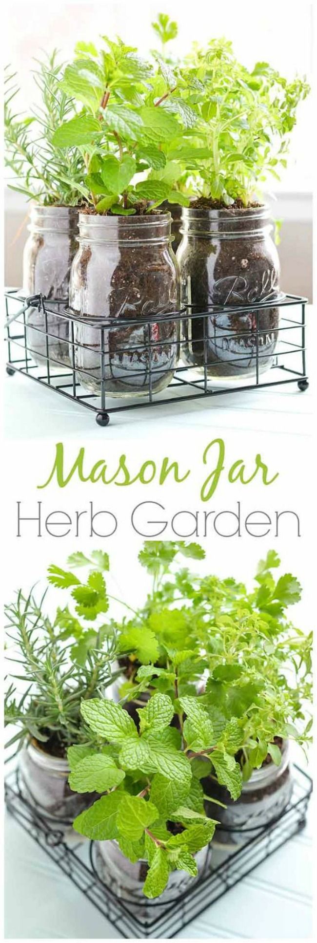 Herb garden