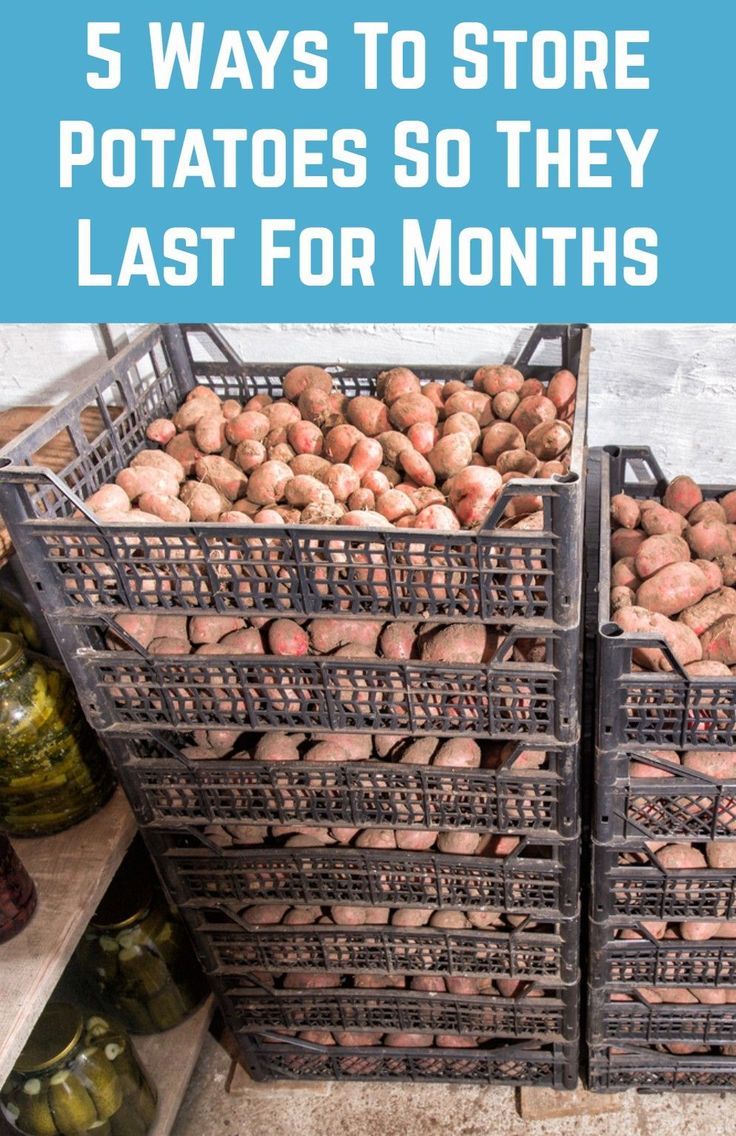 5 Ways To Store Homegrown Potatoes So They Last All Winter