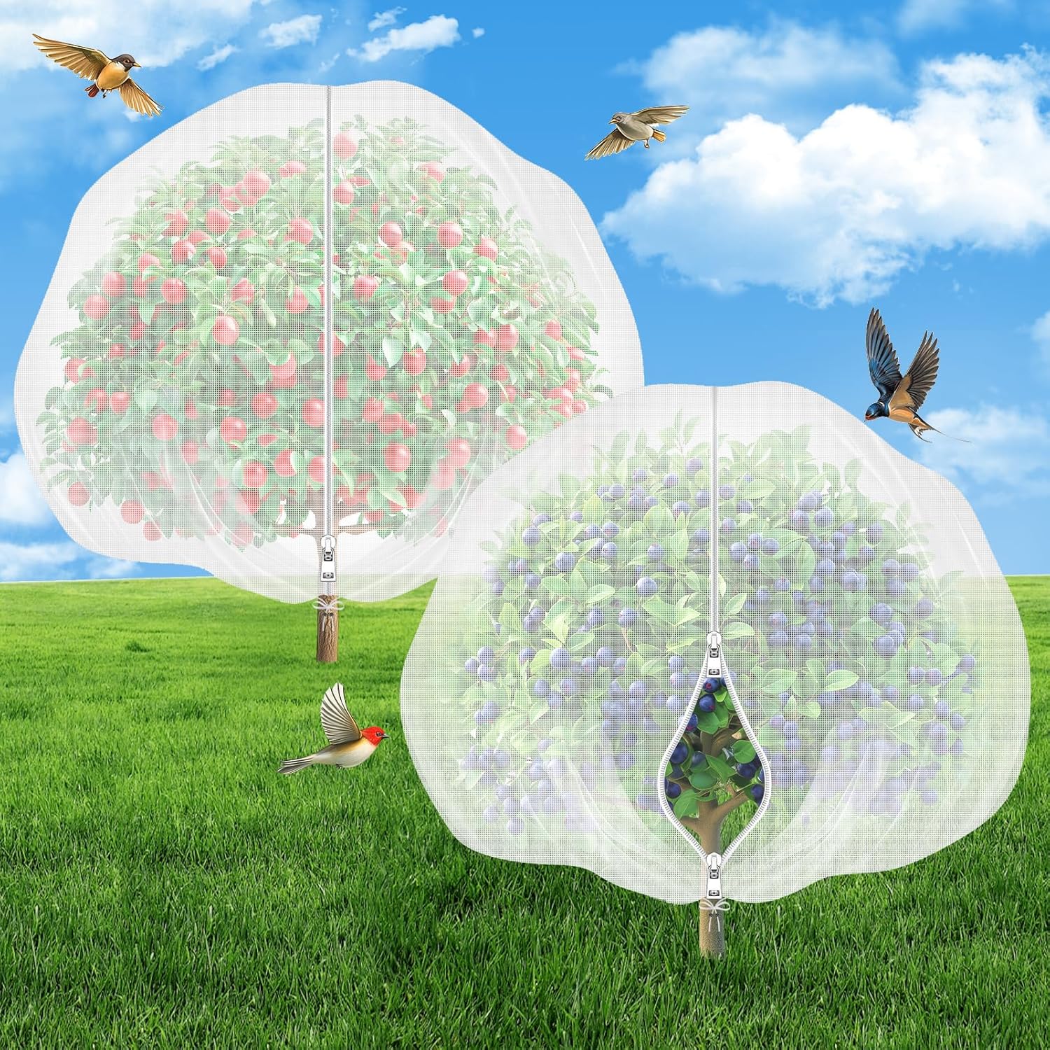 🪴 Today’s Garden Deals Find: Fruit Tree Netting