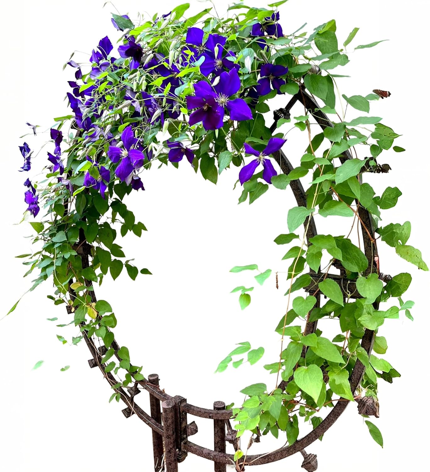 🪴 Today’s Garden Deals Find: Round Garden Trellis