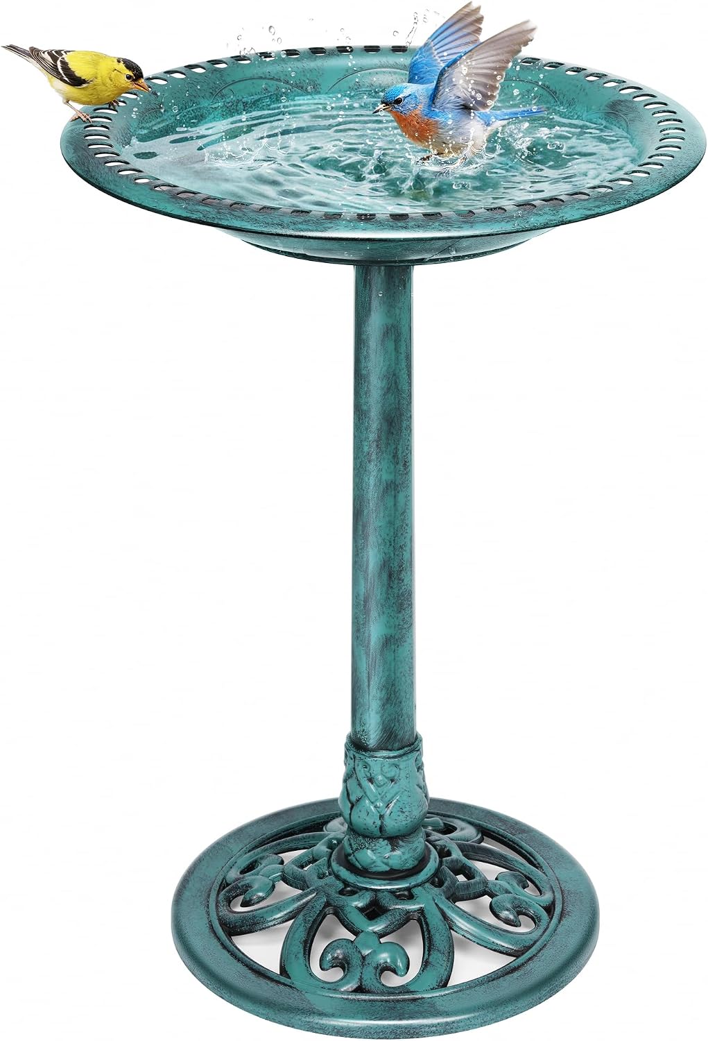🪴 Today’s Garden Deals Find: Bird Bath