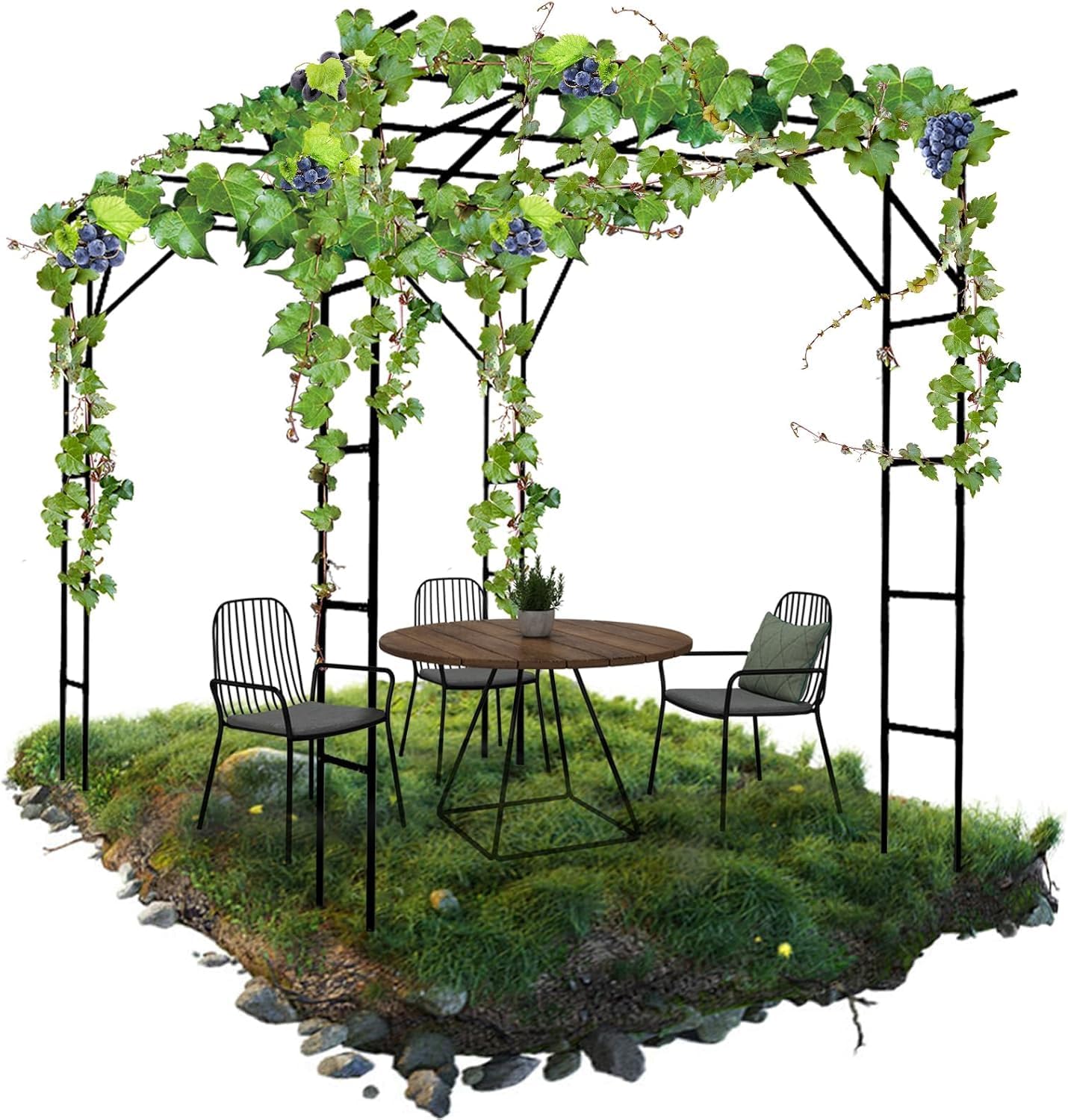 🪴 Today’s Garden Deals Find: Grape Vine Trellis