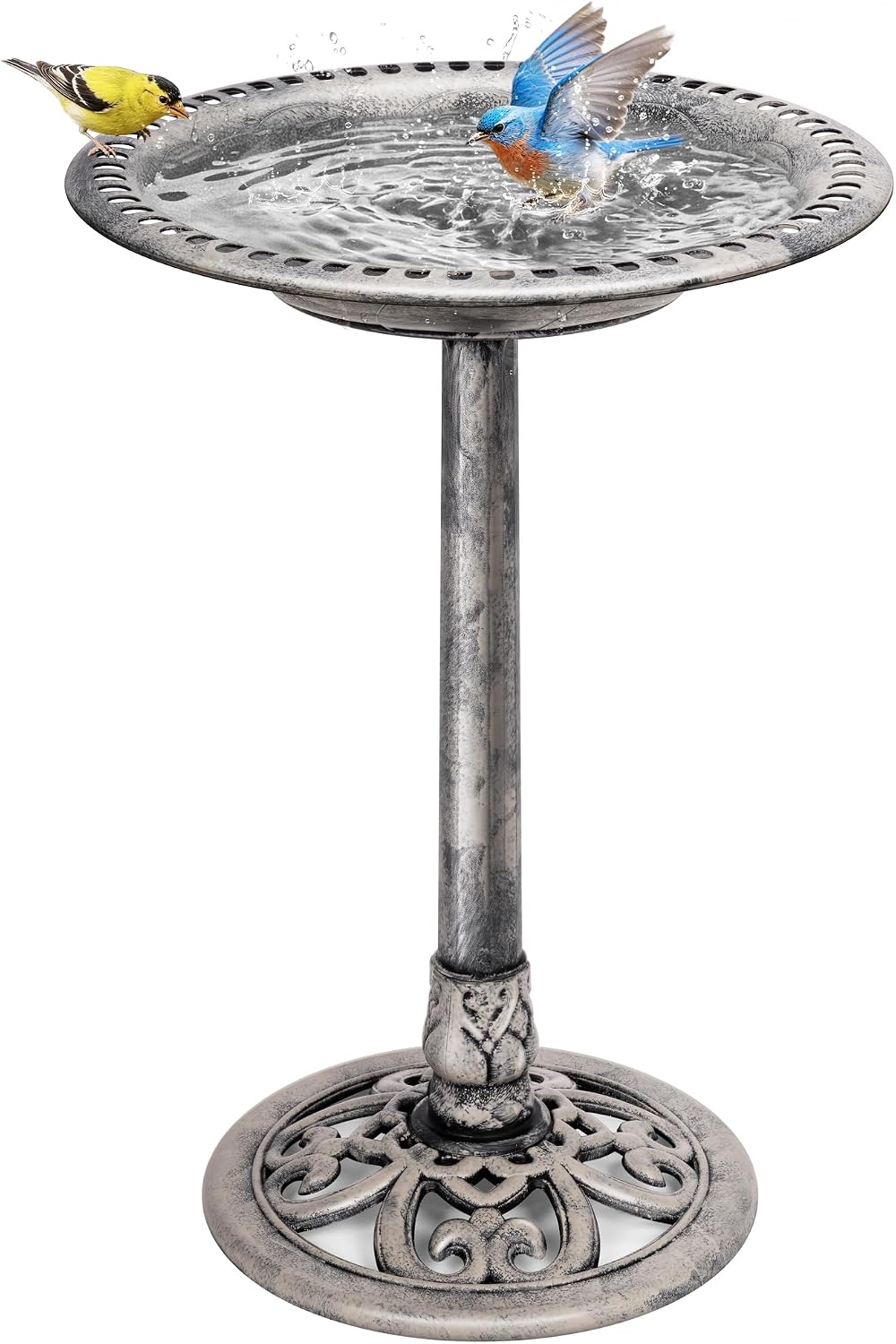 🪴 Today’s Garden Deals Find: Bird Bath
