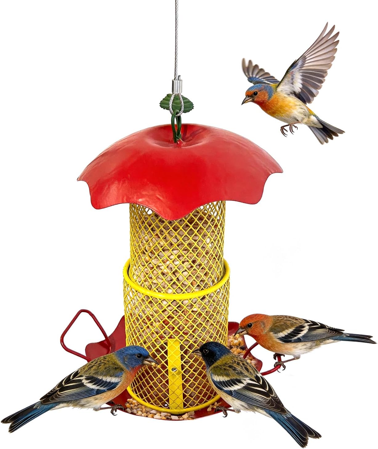 🪴 Today’s Garden Deals Find: Apple Shaped Feeder