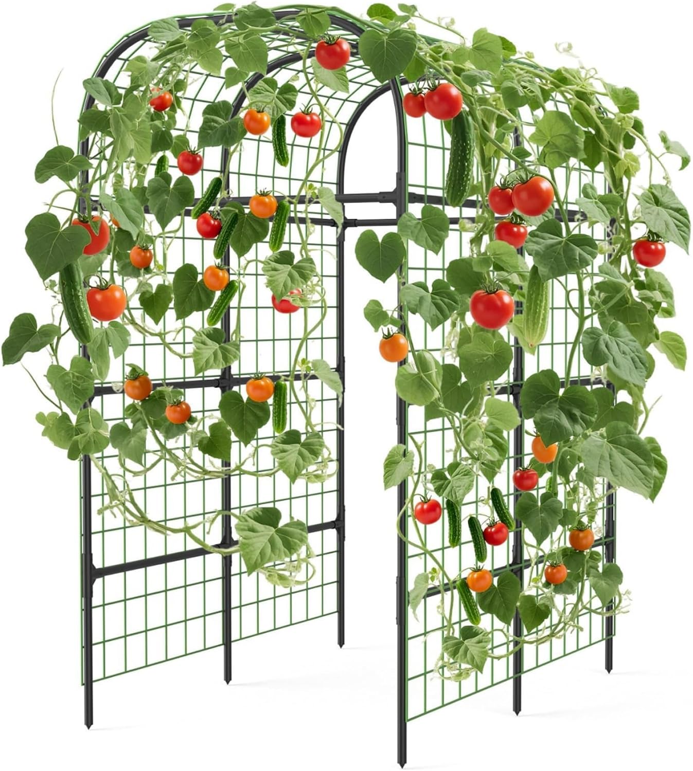 🪴 Today’s Garden Deals Find: Garden Arch Trellis