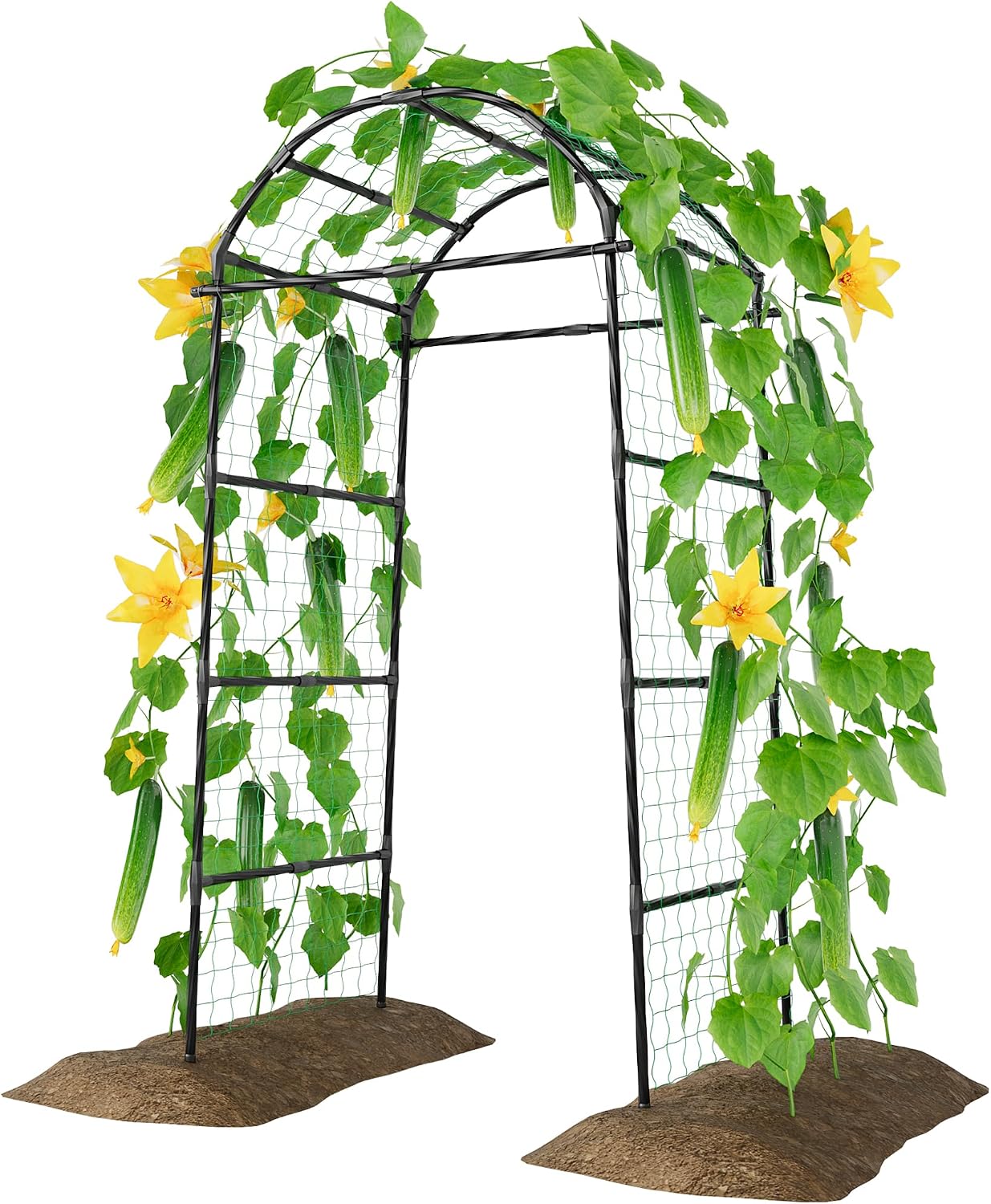 🪴 Today’s Garden Deals Find: Garden Arch Trellis