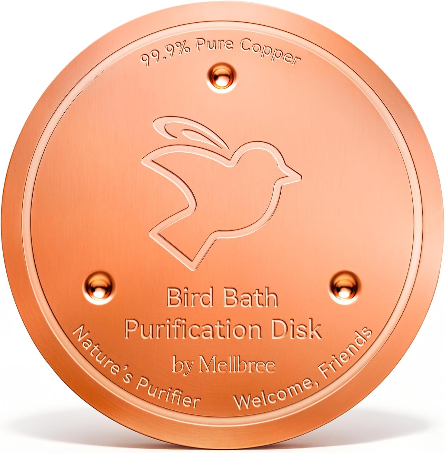 🪴 Today’s Garden Deals Find: Bird Bath Disk