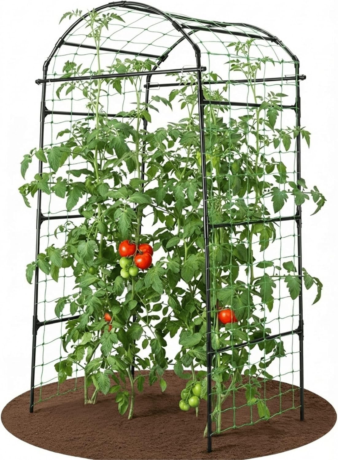 🪴 Today’s Garden Deals Find: Metal Cucumber Trellis