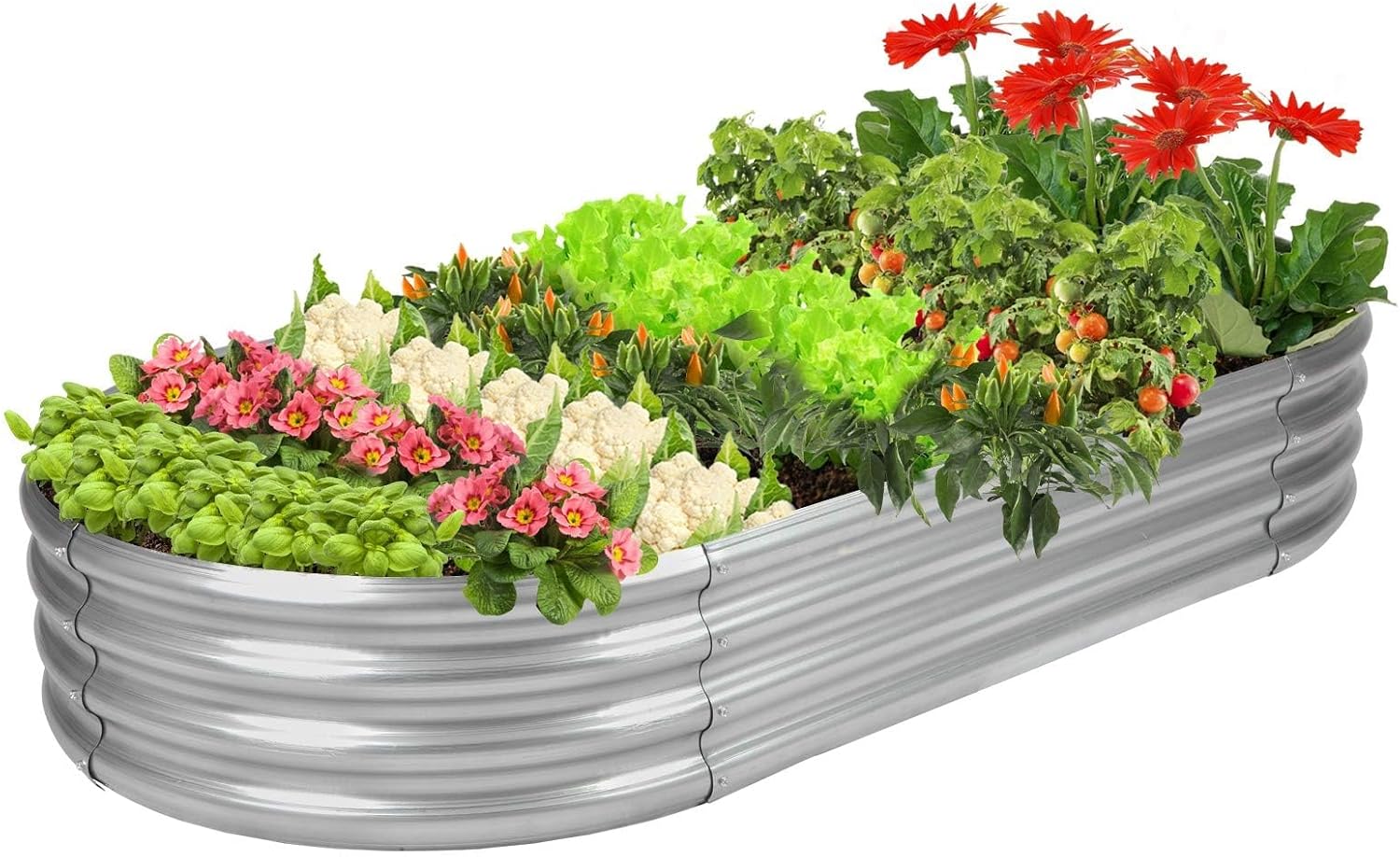 🪴 Today’s Garden Deals Find: Raised Garden Bed