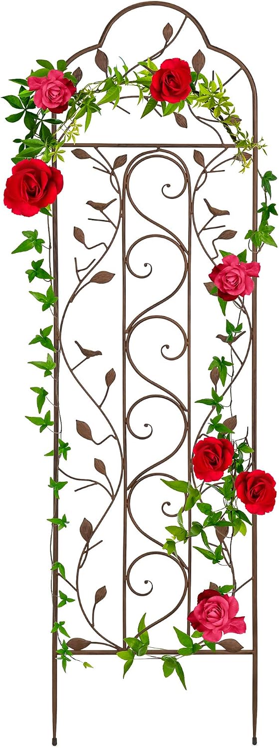 🪴 Today’s Garden Deals Find: Iron Garden Trellis