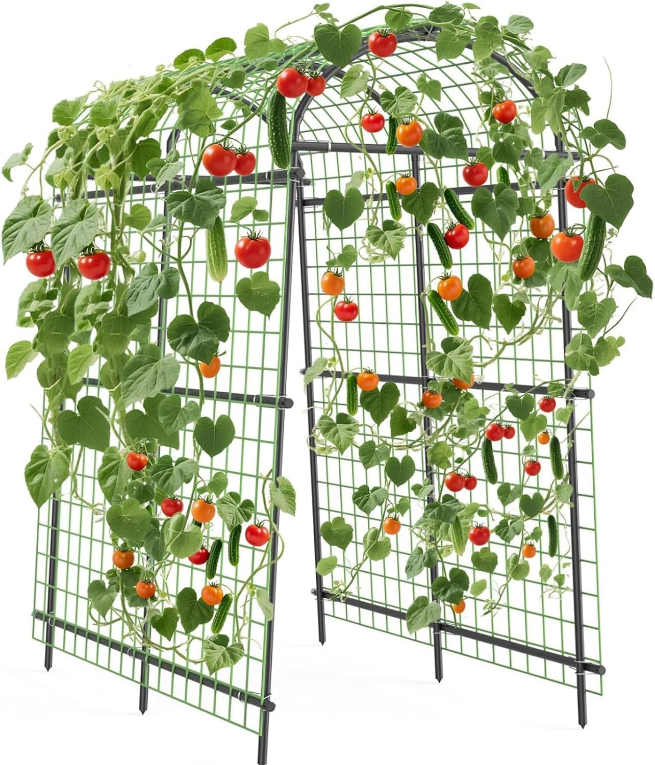 🪴 Today’s Garden Deals Find: Garden Arch Trellis